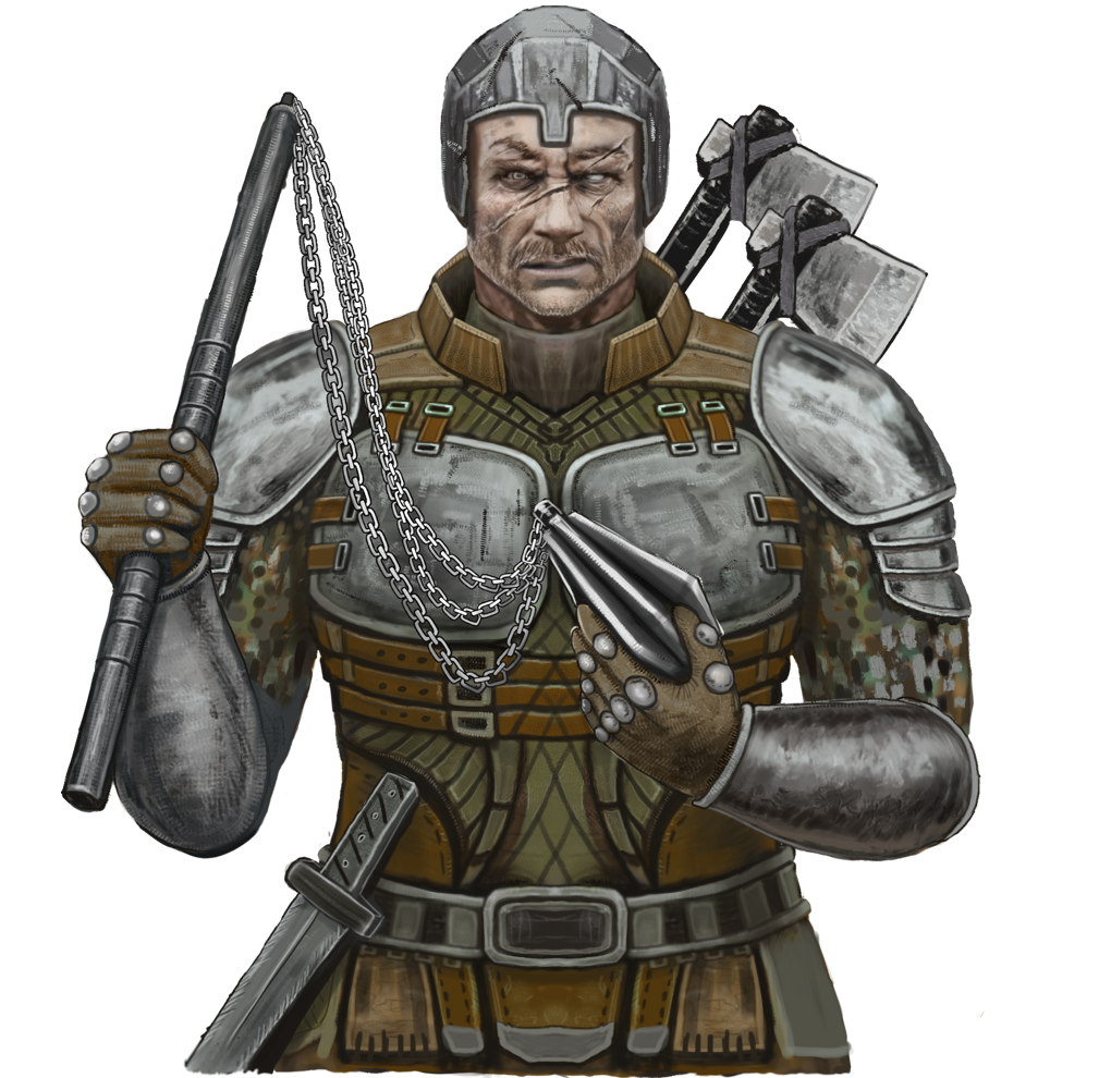 Battlefield Warrior Soldier